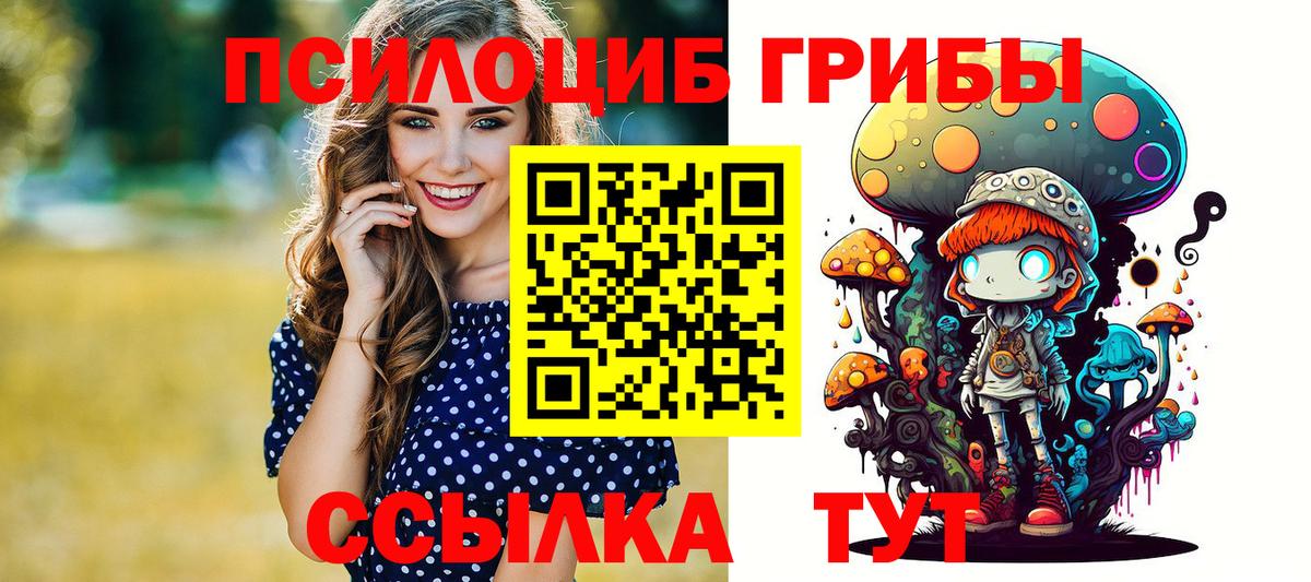 Псилоцибиновые грибы мицелий Унеча